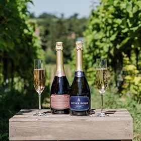 Buy Silverhand Estate Silver Reign RosΓ© Sparkling White Non-Vintage for a Refreshing Celebration Buy Silverhand Estate Silver Reign RosΓ© Sparkling White Non-Vintage for a Refreshing Celebration β Silverhand