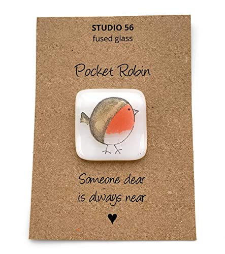 Pocket Robin