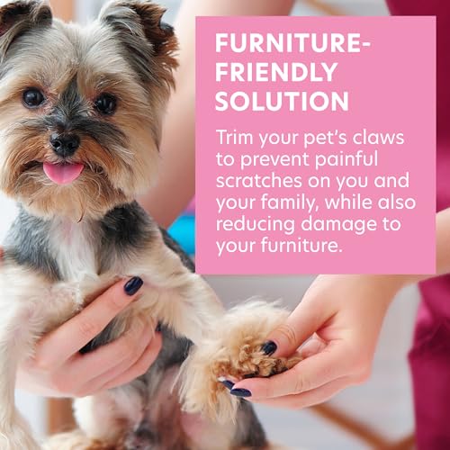 BONA FIDE BEAUTY Krallenschleifer für Hunde, Trimmen & Formen - Sanfter, Schmerzfreier Krallenschleifer - Ideal für Hunde, Katzen, Vögel - Krallenfeile Hund aus Tschechischem Premium Glas