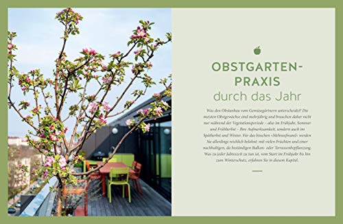 Mein City-Obstgarten: Fruchtiges Naschvergnügen für Balkon & Terrasse (GU Garten Extra) - 8