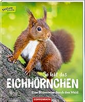 So lebt das Eichhörnchen: Eine Bilderreise durch den Wald 3649630656 Book Cover