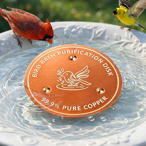 Factee Bird Bath Copper Disk 0.6mm Thick 99.9% Pure Copper Cleaning Disk Helps Maintain Cleaner-Looking Water All-Season Use for Outdoor Bird Baths Bowls Bird Bath Solar & Fountains