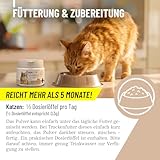 ReaVET Magenmild Pulver für Katzen – Bei empfindlichem Magen, Neigung zu Erbrechen, Würgen, Sodbrennen oder weichem KOT – Magenpulver naturrein mit Bentonit, Heilerde I 50g