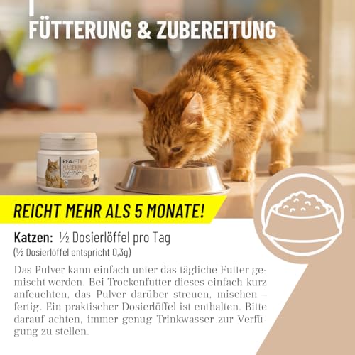 ReaVET Magenmild Pulver für Katzen – Bei empfindlichem Magen, Neigung zu Erbrechen, Würgen, Sodbrennen oder weichem KOT – Magenpulver naturrein mit Bentonit, Heilerde I 50g