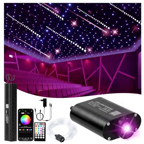 DEWEL Kit de Luces de Fibra Óptica, 16W RGBW 300PCS*0.75mm*2m/Meteor 3W Blanco 20pcs*1.0mm*2m, APP Bluetooth/Mando a Distancia 28 Teclas, Luz Musical para Iluminación Ambiente Techo Hogar/Coche