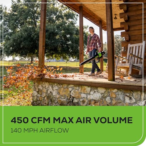 Image of Greenworks 60V (450 CFM / 140 MPH) Cordless Leaf Blower, Variable Speed & Turbo, Lightweight Handheld for Fall Leaf Removal, Yard, Patio, Driveway Outdoor Cleaning, 2.0Ah Battery and Rapid Charger