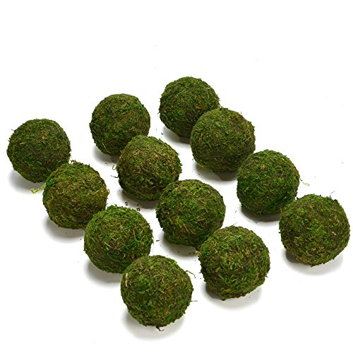 BYHER Natural Green Moss Decorative Ball Handmade (2-Set of 12)