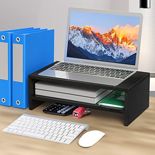 AMERIERGO Monitor Stand Riser - 16.5 Inch 2 Tier Desk Organizer Stand for Laptop Computer, Desktop Printer Stand with Phone Holder and Cable Management, Versatile as Storage Shelf & Screen Holder