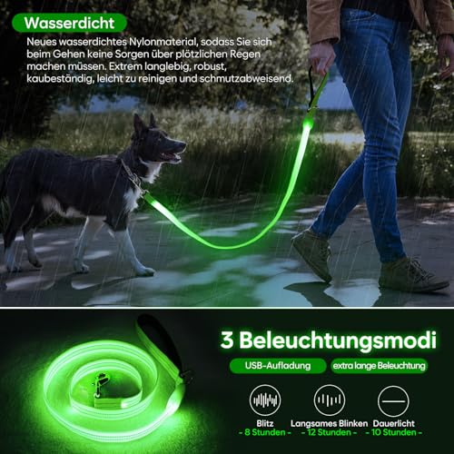 ChalkLit LED Hundeleine, Beleuchtete Hundeleine über USB Wiederaufladbar, 1,2 m, Weich Wasserdicht Reflektierend, für nächtliche Spaziergänge für große, mittelgroße Haustiere blinkende