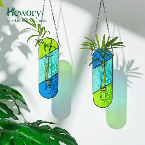 Cadeau pour décoration de fenêtre avec ce lot de 2 pots hydroponiques en verre coloré