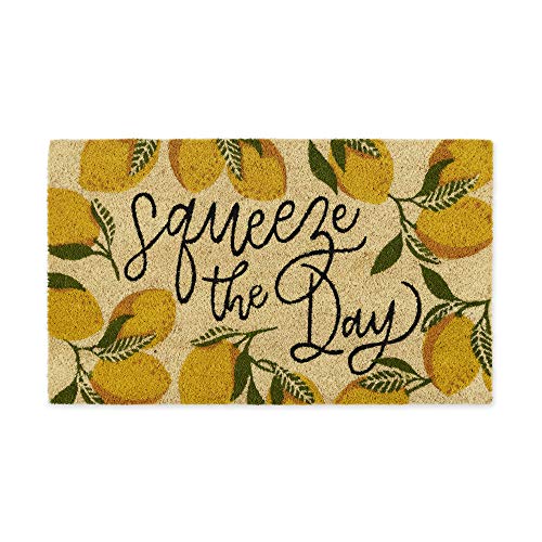 DII Natural Coir Doormat, Fun Greeting Mat, Squeeze The Day, 18x30