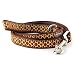 The Worthy Dog Giraffe Print Leash for Dog Made of Nylon Leashes for Walking Dogs with Solid Nickel-Plated D-Ring Brown Size- Small