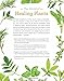 National Geographic Guide to Medicinal Herbs: The World's Most Effective Healing Plants
