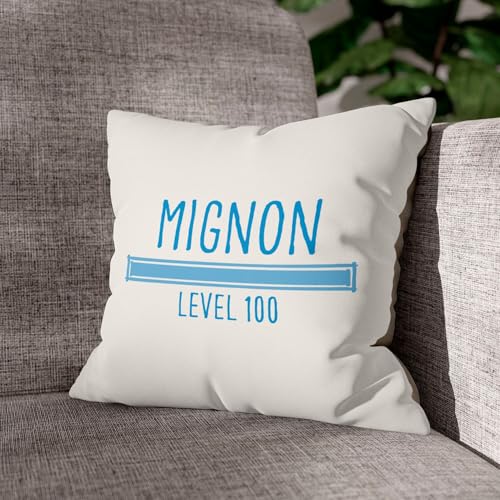 Coussin en velours blanc Mignon Level 100 Bébé Irresistible de dimensions 40x40 cm avec housse incluse