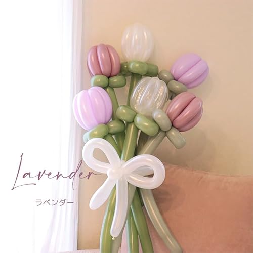 `[bv 6{ ԑu[P o[A[g SD t[ t[o[ ݃J[ (x_[)