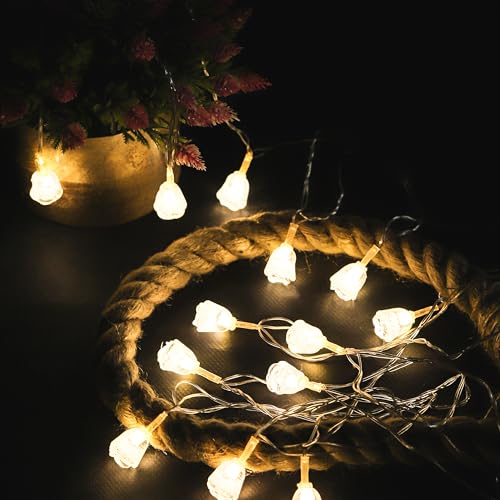 Image of Lexton Fairy 14 Roses LED String Light | 14 LED, Plug Sourced, 4 Meter Long | Suitable for Diwali, Birthday, Festival, Wedding, Party, Patio, Lawn, Restaurants (Pack of 1, Warm White)