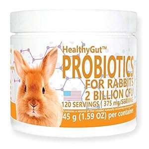 HealthyGut Probiotics for Rabbits Dietary Supplement, All-Natural Digestive System Formula (120 Servings)