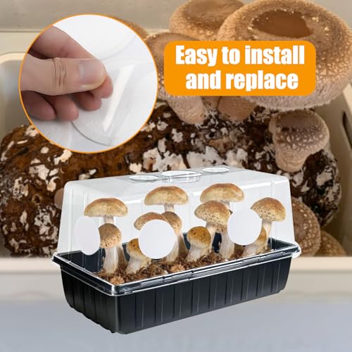 Image of 12PCS 2.5in Monotub Adhesive Filter Disks, Mushroom Monotub Filter Discs, Mushroom Filter, Filter Patch for Monotub, for Mushroom Growing Supplies Filter Pad Replacements.(2mm Thick) (12PCS)