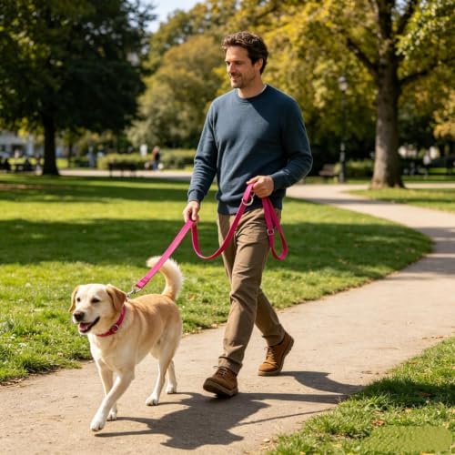 Dog Leash for Large Dogs, 5.9 Ft Odor-Proof Easy Clean Heavy Duty Nylon Webbing with Swivel Lockable Hook,Versatility Comfort Padded Handles Reflective Leash for Small Medium Large Dogs (Mint Green) — view 3