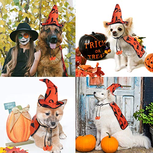 Popetpop Dog Halloween Costumes - Pet Wizard Costume Cape With Witch Hat Puppy Cat Halloween Apparels Outfits #TOP6