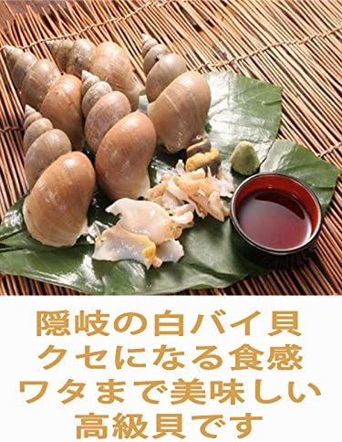 Amazon 隠岐の白バイ貝 2kg 日本海隠岐活魚倶楽部 クセがなく甘みのある貝 コリコリ食感でワタもおいしい高級貝 隠岐ブランド 貝類 通販