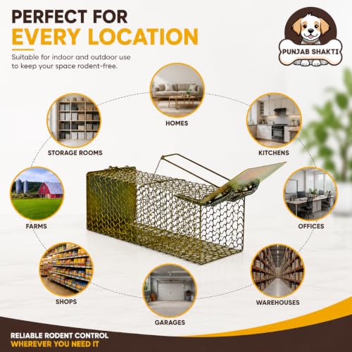 Image of Heavy Duty Rat Catcher Trap - Humane & Reusable Mouse Trap for Home, Office & Warehouse - Easy to Set, Strong & Reliable Rodent Control