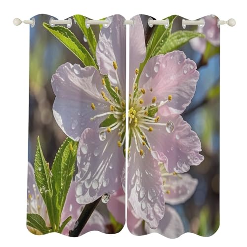Rideaux occultants anti chaleur fleurs de cerisier pour salon
