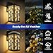 DERUINVAIO Outdoor Wall Light Fixtures African Set African Masks African Animals Exterior Waterproof Wall Sconce Lantern with Acrylic Shades Anti-Rust Lamp for Patio Doorway Garage