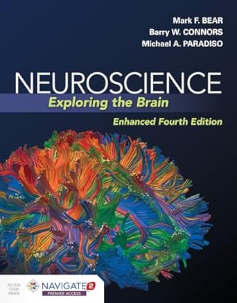 Neuroscience :  exploring the brain /