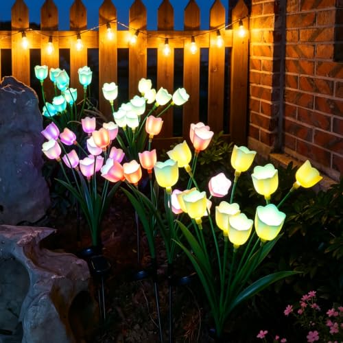 Solar Garden Lights 2 Pack - 15H Runtime for Yard Pathway Outdoor Décor — view 3
