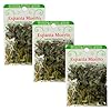 Pack 3 Hierbas Esotericas Espanta Muertos Aberikunlo (Aleja Negatividad) 1ra. Calidad