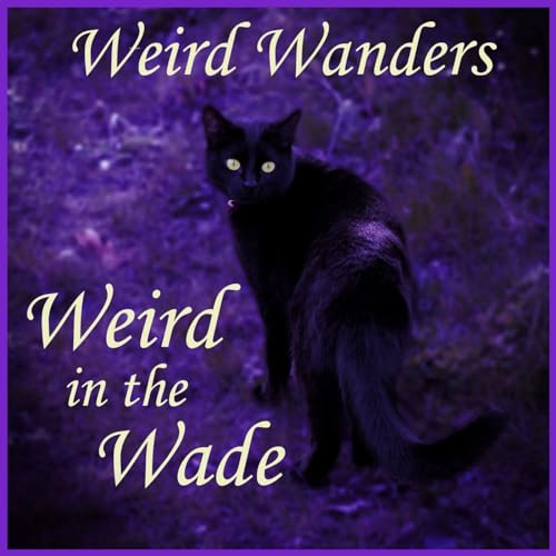 15. Weird Wanders Two: My night in York's Most Haunted Inn Podcast Por  arte de portada