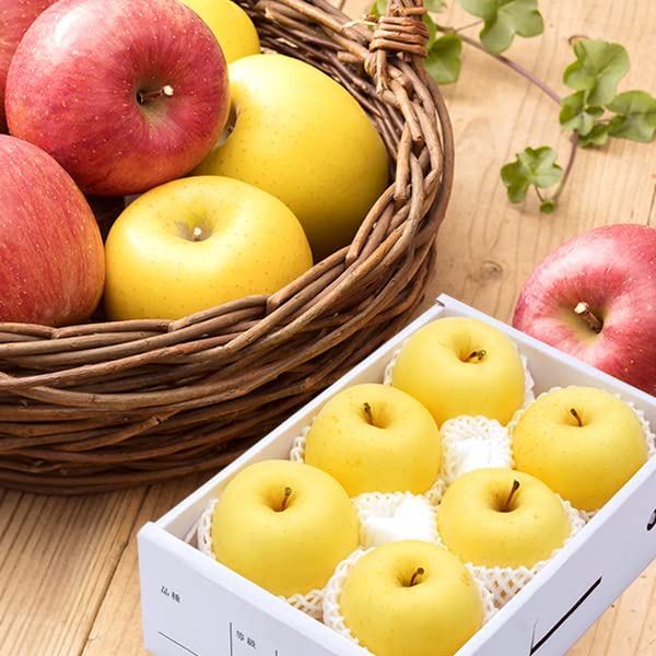 北のデリシャス 山形県産 りんご はるか (秀品/常温品) 林檎 ギフト 贈り物 贈答 お祝い 内祝い ご家庭用 産地直送 果物 フルーツ お取り寄せ