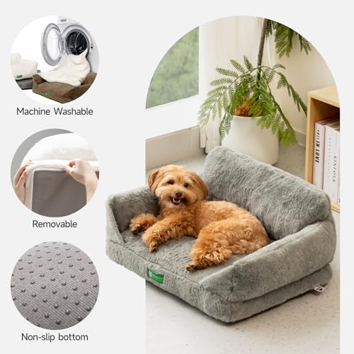 MEWOOFUN Katzen Sofa Katzenbett für Wohnungskatzen, Niedlich Kätzchen Bett Haustiersofa mit abnehmbarem, waschbarem Bezug und Rutschfester Unterseite für kleine Hunde (Grau, M)