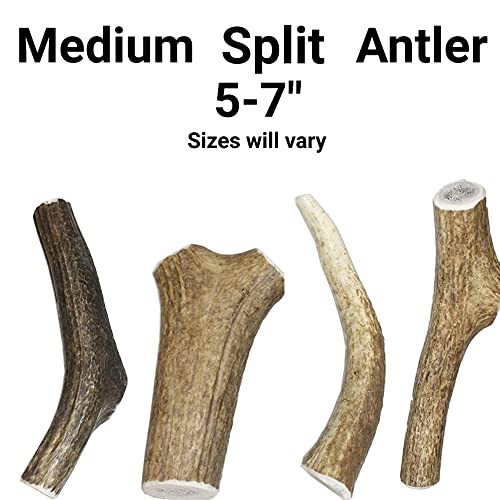 Bundle - Jumbo Cow Ears With Bully Stick Flakes (10-Pack) And Medium Split Elk Antler (5-7”) Made In Usa - Long Lasting Dog Treats For Aggressive Chewers – For Small, Medium And Large Dogs #TOP3