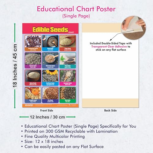 Image of ESCAPER Edible Seeds Educational Learning Charts (11.5 x 17.5 Inches), 300 GSM Paper, Laminated, Self Adhesive Back, Kids Study Material, Perfect For Home Schooling, Nursery Students