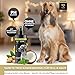 Peticare® Hunde Trockenshampoo (200 ml) – Natürliches Hundeshampoo gegen Geruch & Schmutz – ohne Wasser – Sanfte Fellpflege für Hunde & Welpen – für alle Fellarten – mit Argan- & Kokosöl