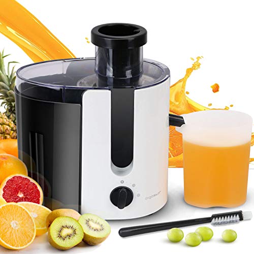 Best Compact Juicer For Celery