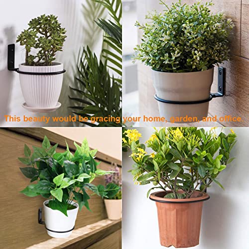 Aysum 8 Inch Flower Pot Holder Ring 6 Pack Wall Mounted Plant Holder Ring Metal Black Hanging Basket Bracket For Home Garden Indoor Outdoor Plants Planters #TOP4