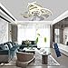 Ventilatori da soffitto con lampada，52cm Lampadario Ventilatore da Soffitto con Telecomando Silenzioso Moderno Ventola da Soffitto， velocità del vento regolabile e dimmerabile(D'oro)