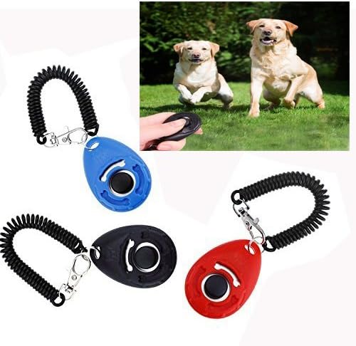 Pet Dog Training Clicker Big Button clicker with wrist band Strip for Clicker training Professional Dog Cat Bird Puppy Pet Training Clickers
