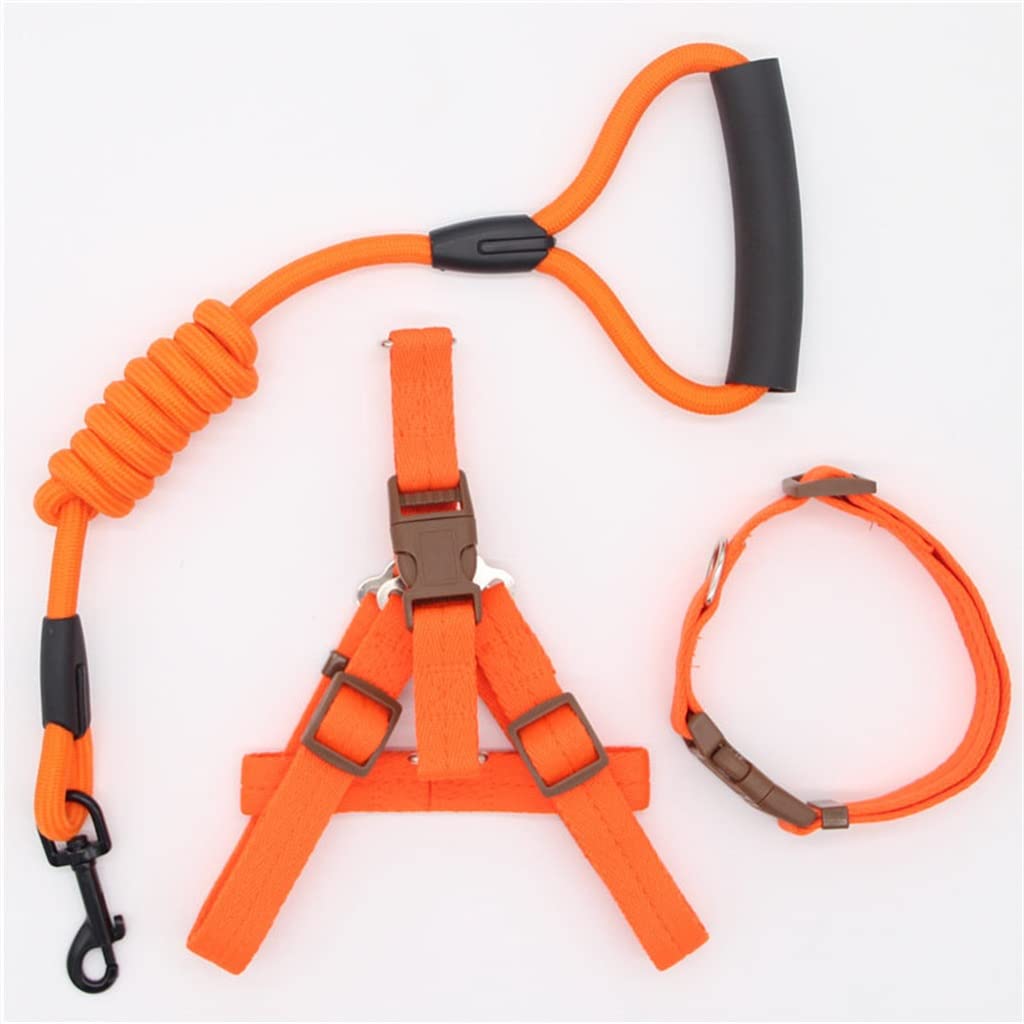 Laisse en nylon pour chien et chat taille M idéale pour la course à pied et le dressage
