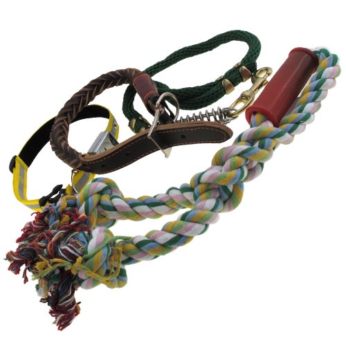 Preisvergleich Produktbild 4 er SET Leine Hundeleine LED Halsband Katzenleine S7