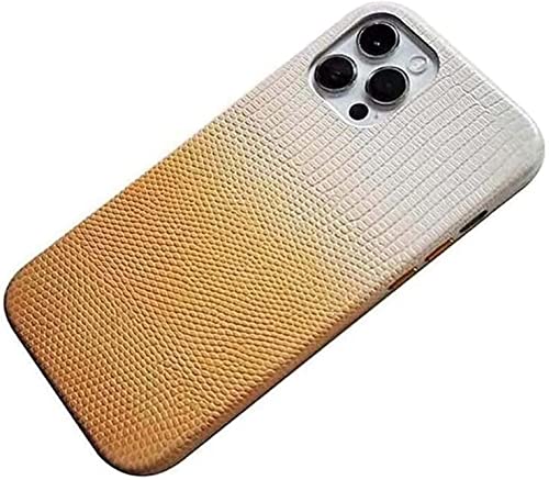 Coque iPhone 13 Pro Max 6,7 pouces protection écran appareil photo texture lézard