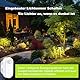 Haozee Smart Motion Sensor, Zigbee PIR-Bewegungssensor mit Beleuchtungswert, Hohe Empfindlichkeit, Echtzeiterkennung, Zigbee-Hub erforderlich, Unterstützt Home Assistant, Zigbee2MQTT