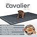 Cavalier Pets, Extra Large Dog Bowl Mat for Cats and Dogs, Silicone Non-Slip Absorbent Waterproof Dog Food Mat, Water Resistant and Easy to Clean, Unique Paw Design, 36 by 24 Inch, Grey