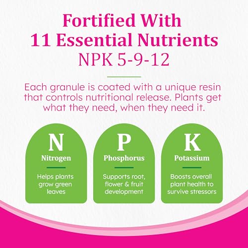 Osmocote Smart-Release Plant Food Plus Outdoor & Indoor1 - Granular, Continuous Release Plant Fertilizer with 11 Essential Nutrients, 1 lb. - Image 5