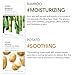THE FACE SHOP Real Nature Face Mask | Refreshes & Soothes Skin That Is Oily Due To Excess Sebum Secretion | K Beauty Facial Skincare For Oily And Dry Skin | Tea Tree,K-Beauty