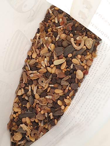 Blumensamen Bienenwiese, Blumenwiese Samen mehrjährig winterhart, Blumensamen mehrjährig: Bienenfreundliche Bienenweide… – Bild 5