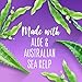 Aussie Paraben-Free Miracle Smooth Shampoo with Aloe & Kelp for Frizzy Hair, 26.2 Fluid Ounce (Pack of 4)